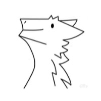 小哈鲨鱼