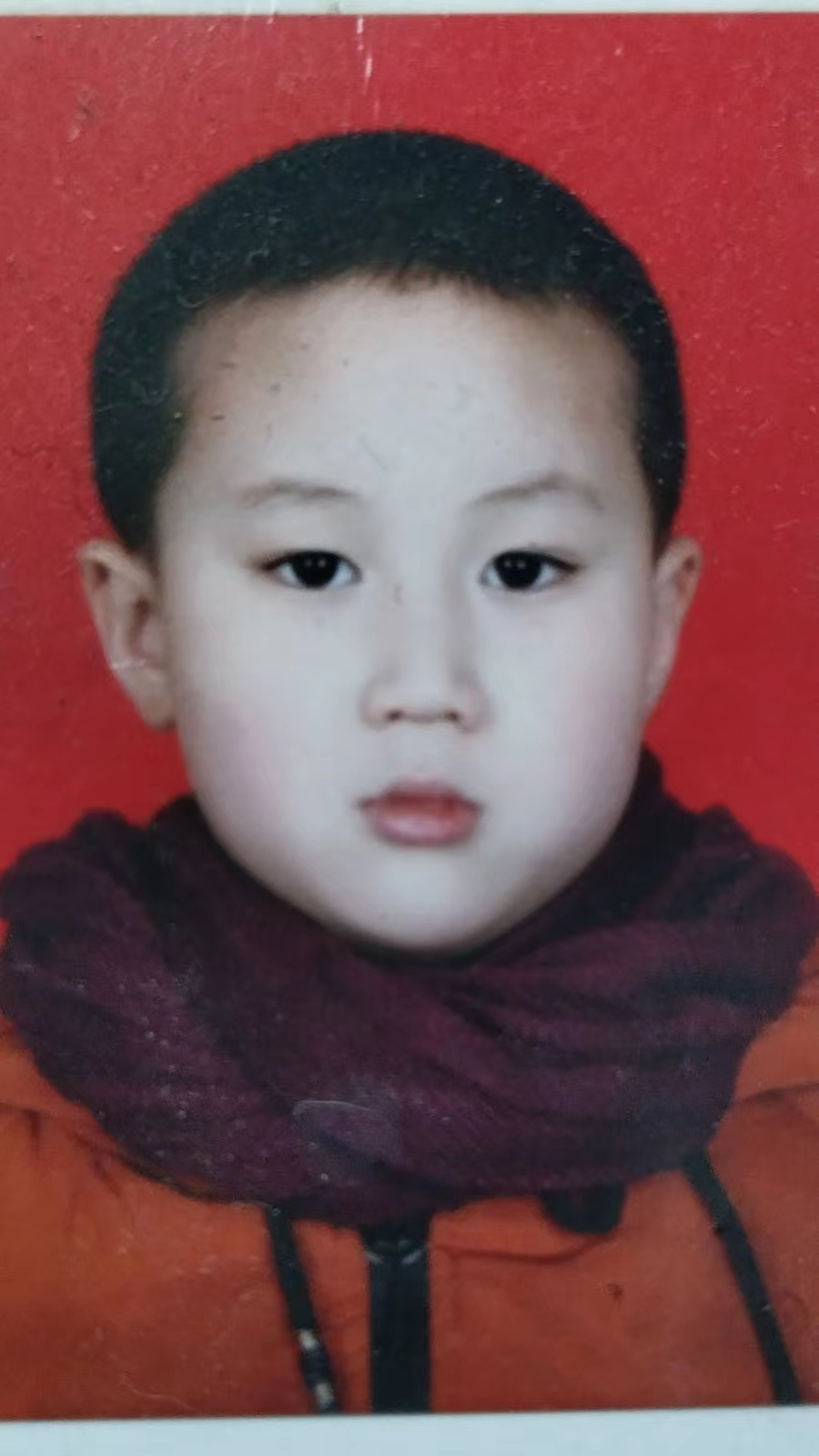 老马小树