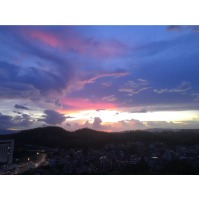 照影孤鸿