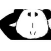 宝宝bus
