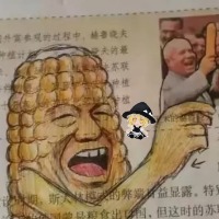 大苏苏☭