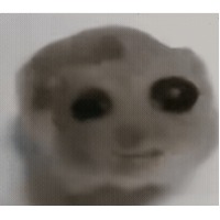 我不知道_286